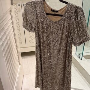 Cable & Gauge Shimmering Silver/Metallic colors Dress. Worn once.